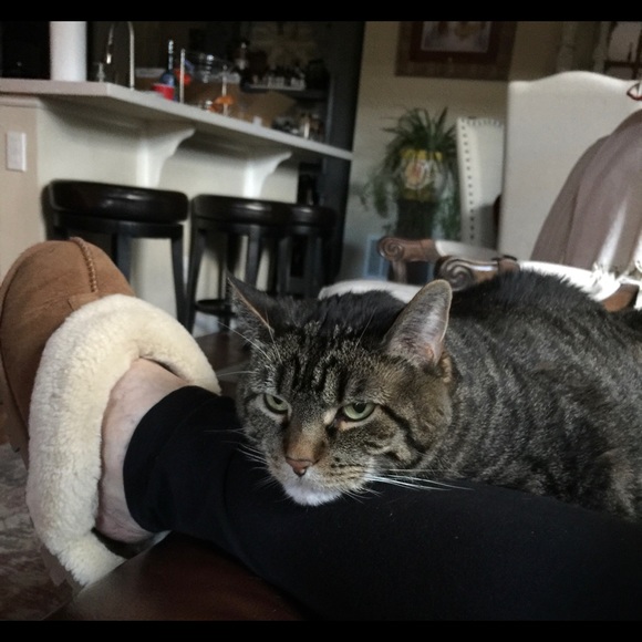 Meet your Posher, Cathy - Picture 3 of 3